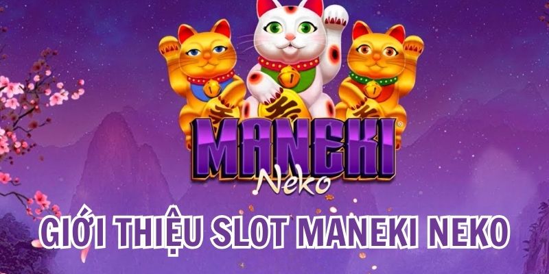 Tổng quan về Maneki Neko slots